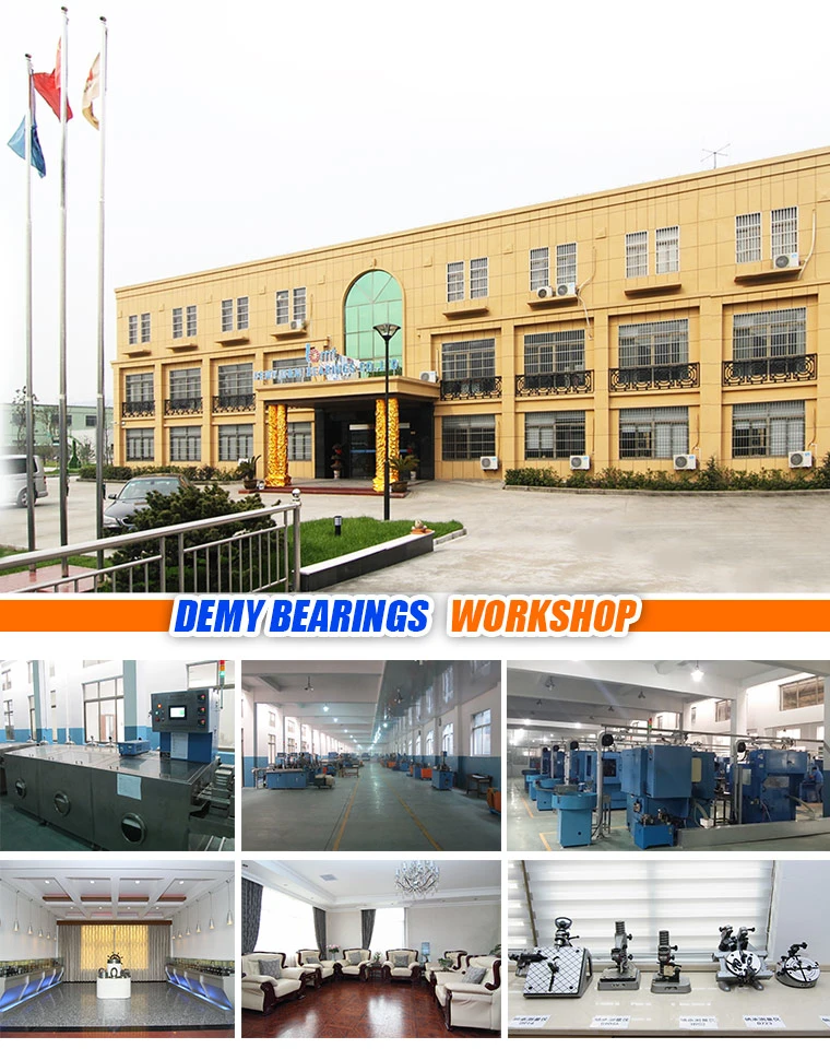 Conveyor Bearing 6203 Transmission Parts Bearing Treadmill Bearings
