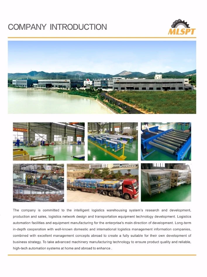 Factory Supply Roller Conveyor Chain Conveyor Parts for Food &amp; Beverages
