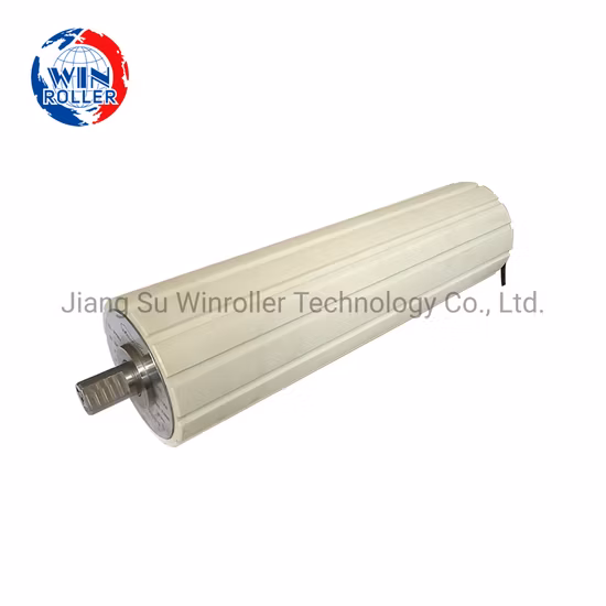 Dm165 AC Motor Oil-Immersed Belt Conveyor Roller for Airport Baggage Belt Conveyor