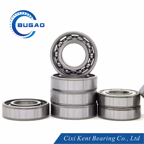 6209 2RS Ball Bearing Conveyor Bearing
